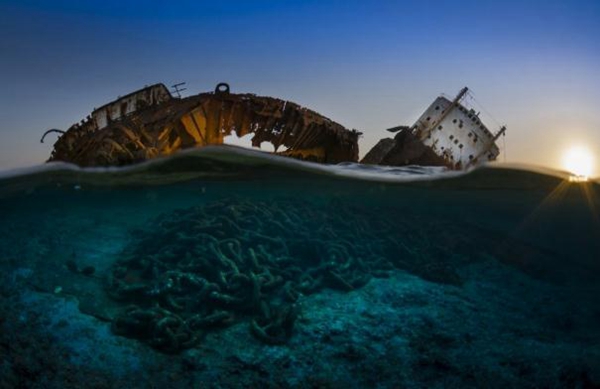신비로운 해저세계: 2017 글로벌 수중 사진 경연대회 개최