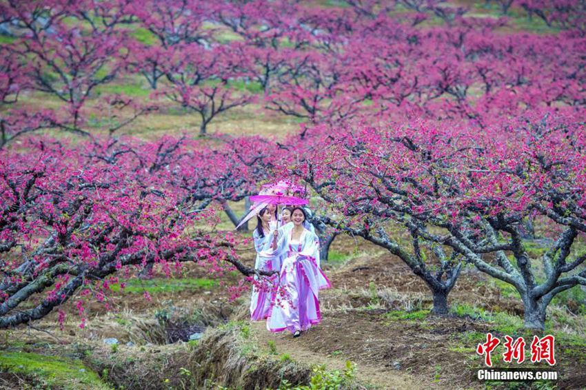 광둥 여대생들의 고시(古詩) 외우기… 고전 문학에 관심을 가져라