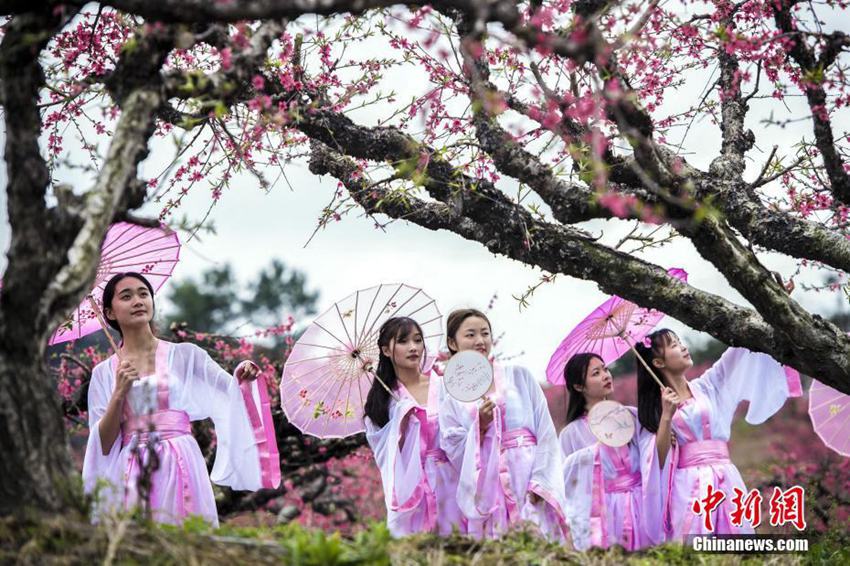 광둥 여대생들의 고시(古詩) 외우기… 고전 문학에 관심을 가져라