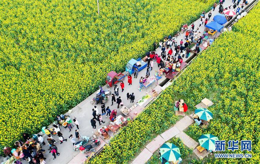 중국 충칭 난천, 아름다운 자태로 관광객을 유혹하는 봄꽃
