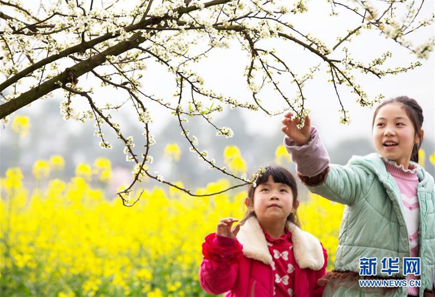 중국 충칭 난천, 아름다운 자태로 관광객을 유혹하는 봄꽃