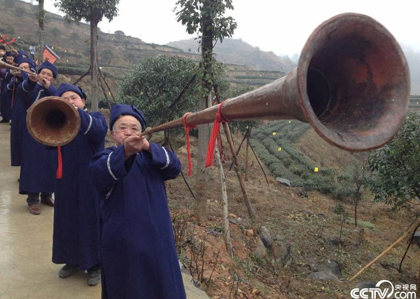 ‘구이저우 춘차(春茶)의 첫 번째 주전자’… 찻잎 따는 소수민족 소녀들