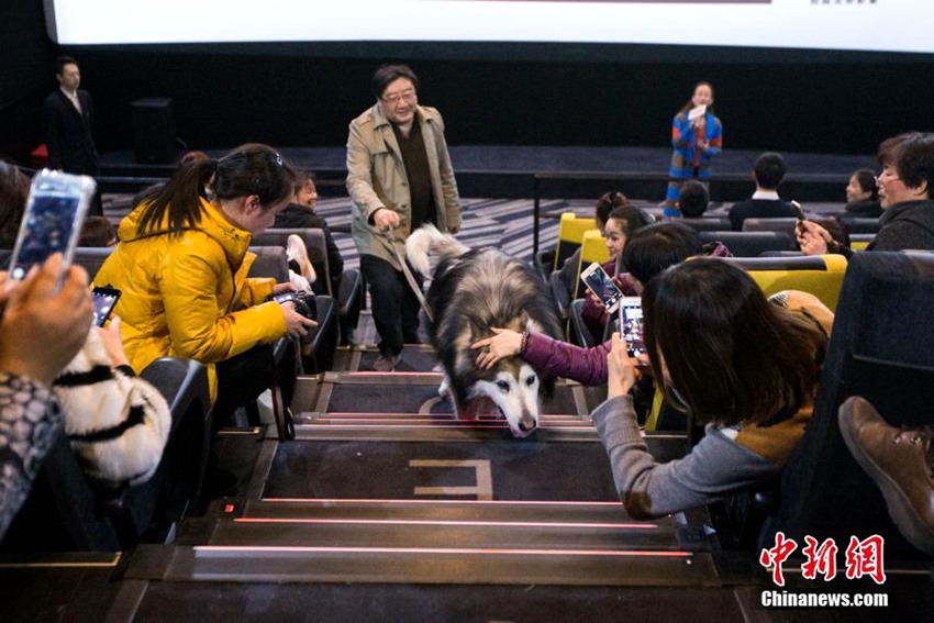 따뜻한 마음씨로 이룬 ‘한 마리 강아지의 영화관 출입 허가’ 이야기