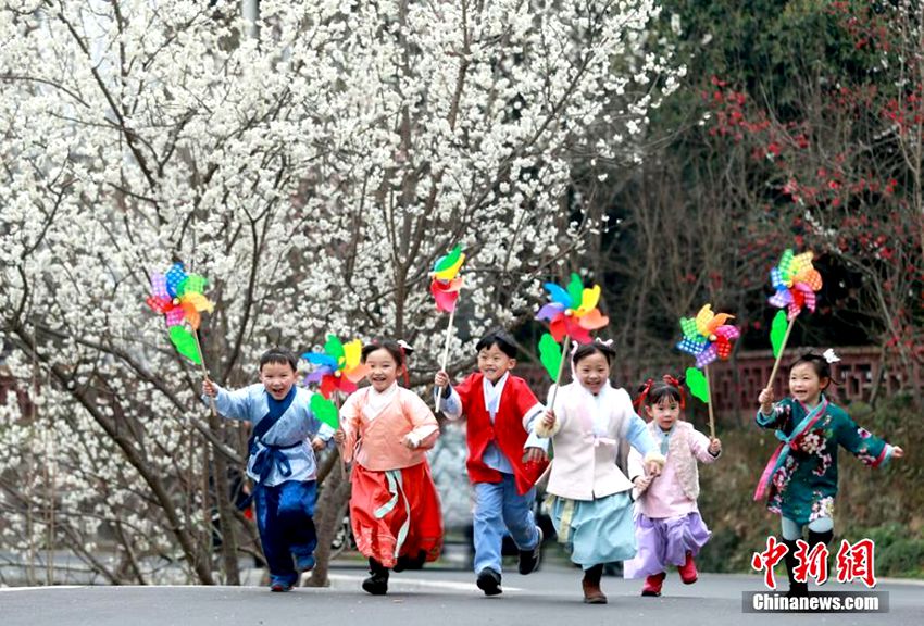 쓰촨, 만개한 앵두꽃밭서 신난 귀여운 댕기 꼬마들