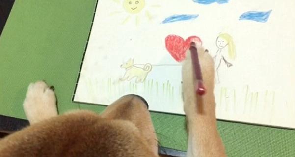 그림 그리기, TV 보기, 사람 흉내 내는 시바견… SNS서 최고 인기!