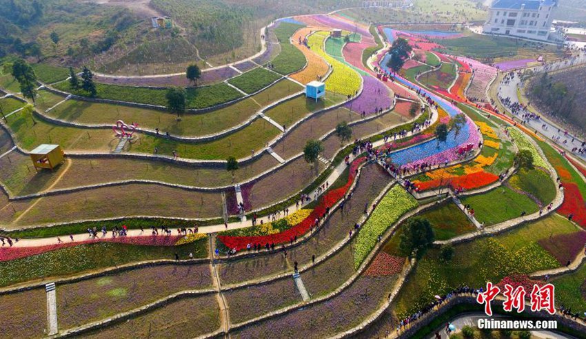 항공촬영으로 본 장시 식물원, 튤립으로 물든 대자연의 팔레트