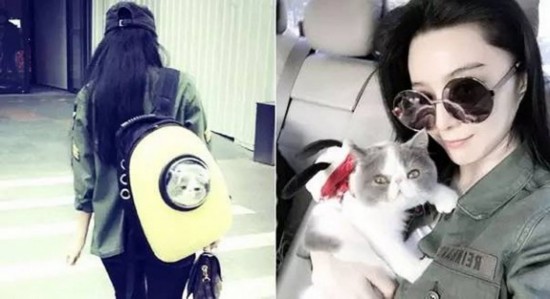 ‘어 도그스 퍼퍼스’보다 더 따뜻한 스타들의 ‘애완동물’ 사랑! 설리 박시연 김준호 판빙빙 루한 등과 그들의 단짝 친구들