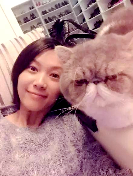 ‘어 도그스 퍼퍼스’보다 더 따뜻한 스타들의 ‘애완동물’ 사랑! 설리 박시연 김준호 판빙빙 루한 등과 그들의 단짝 친구들