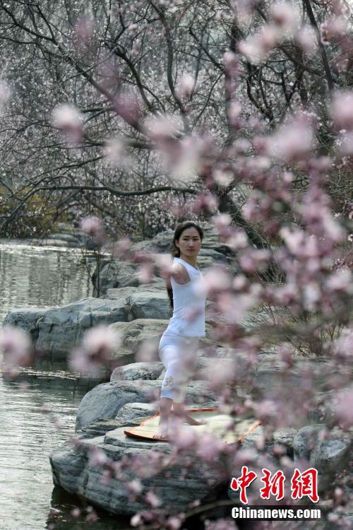 베이징 식물원에 만발한 복숭아꽃, 시민들의 발길 이어져