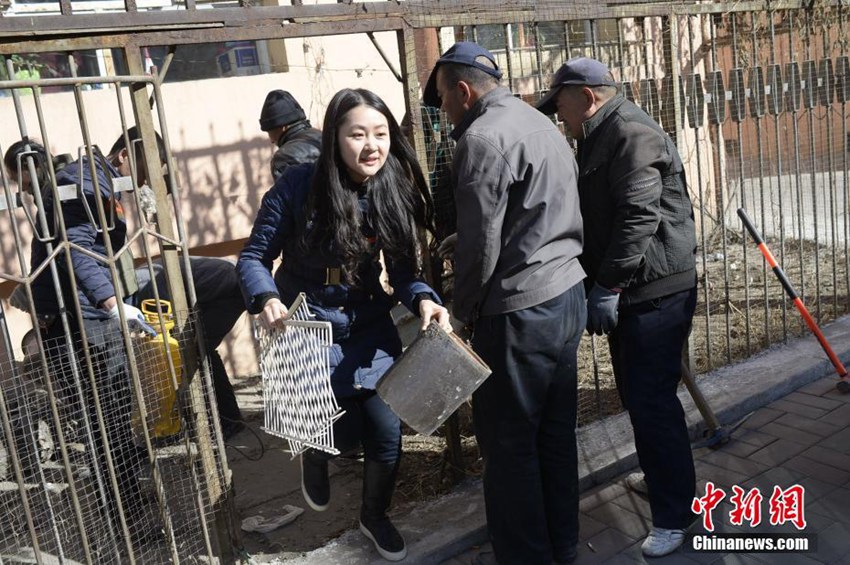 중국 후허하오터, 미녀 동사무소 주임의 바쁜 일상 속으로