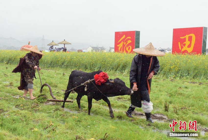 춘분 맞아 중국 후난서 개최된 ‘간펀서’ 행사, 염제 신농을 기린다