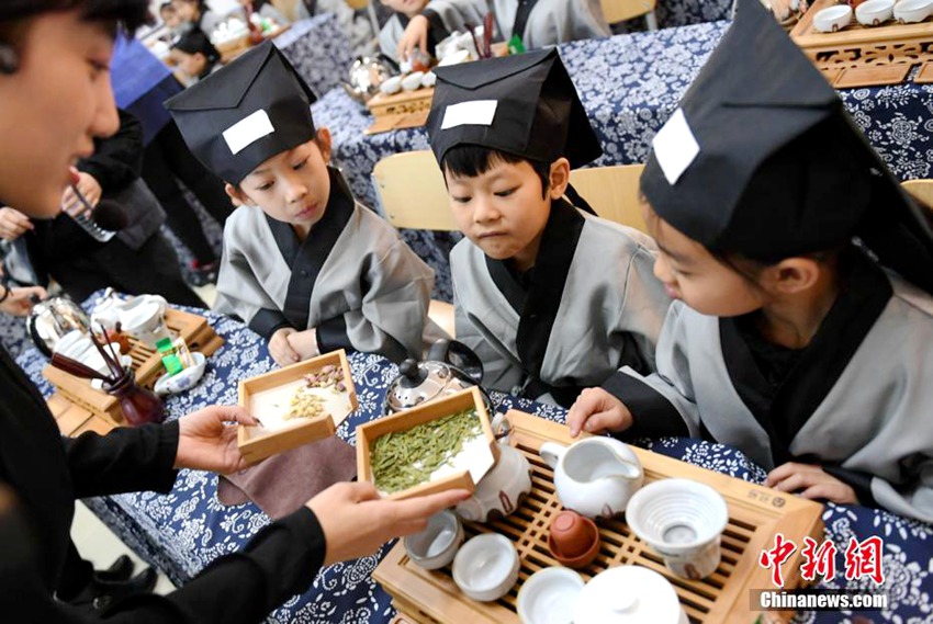 초등학생들의 다도 수업, 중국의 전통 ‘차문화’ 경험해