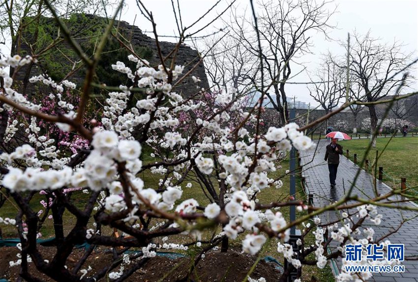 3월의 베이징, 봄비에 촉촉히 젖어든 ‘역사의 도시’