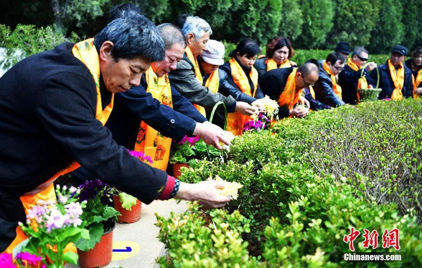 다가오는 청명절: 중국 허베이서 개최된 친환경 공익 장례식