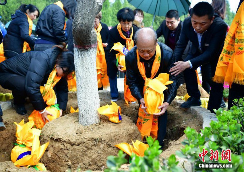 다가오는 청명절: 중국 허베이서 개최된 친환경 공익 장례식