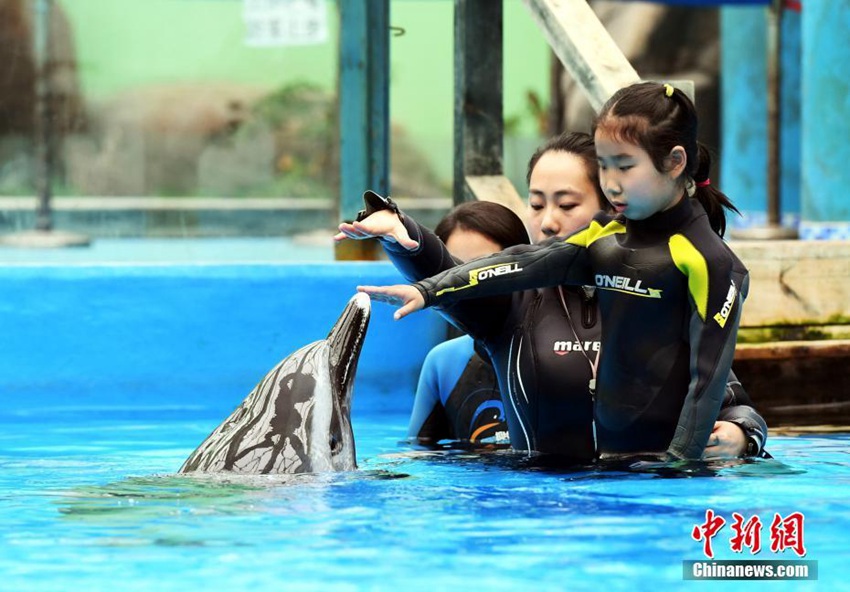 중국 청두 자폐아, 돌고래와 춤추며 치료받아