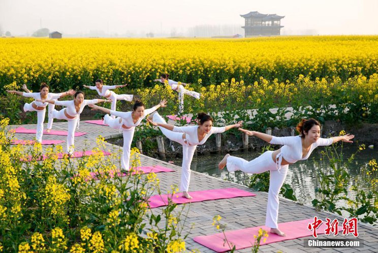 미녀 요가 애호가들 장쑤 유채꽃밭에서 펼친 환상적인 요가쇼