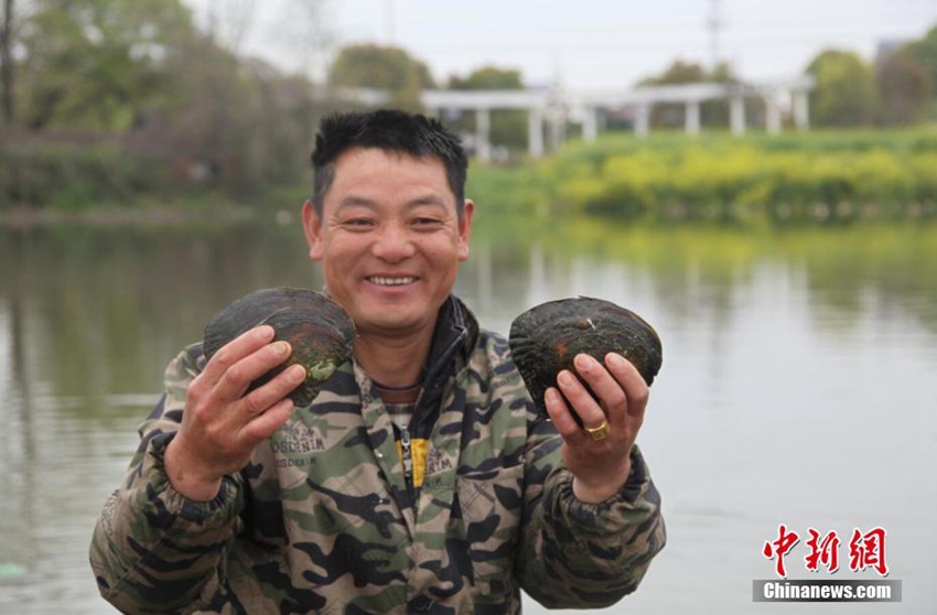중국 담수진주의 고향 ‘완녠’, 만년 동안 지켜온 비밀
