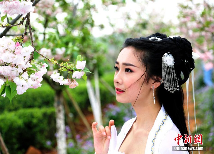장시 난창 펑황거우, 벚꽃에 비친 미녀들의 고전 패션쇼