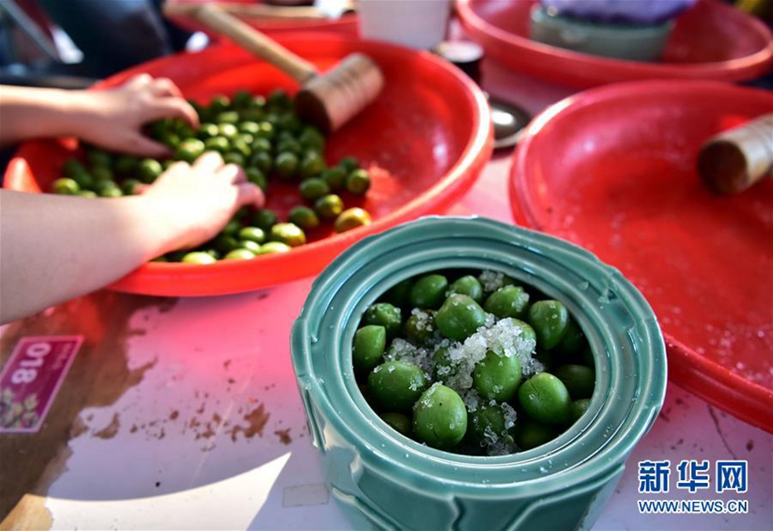 타이완 전통 먹거리 탐방: 절인 매실 만드는 법