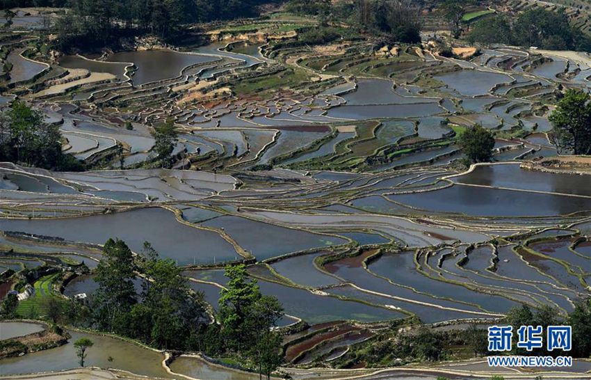 사람이 사는 선계, 중국 윈난 ‘계단식 밭’의 웅장한 모습