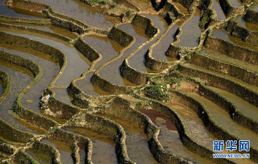 사람이 사는 선계, 중국 윈난 ‘계단식 밭’의 웅장한 모습