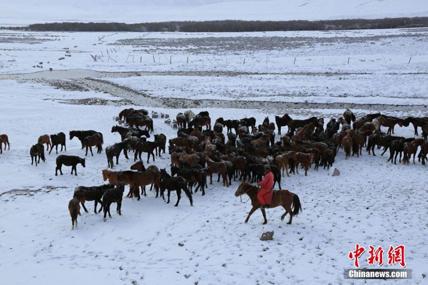 중국 간쑤 산단쥔 마장초원에 내린 눈, 환상적인 경치