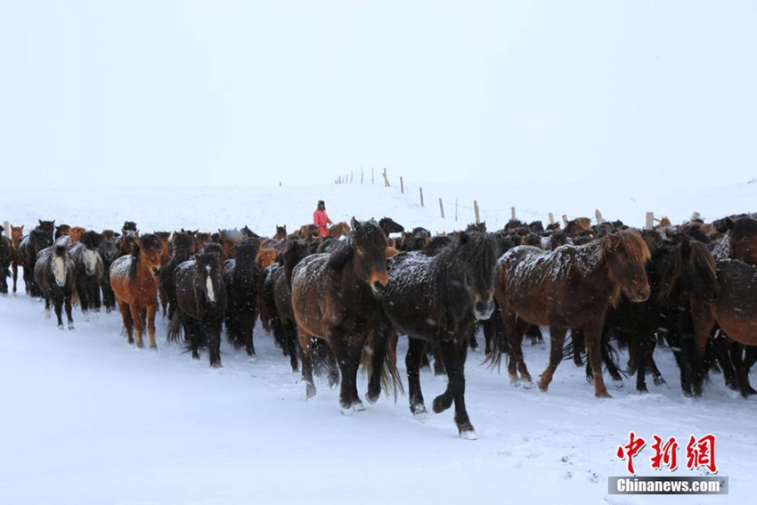 중국 간쑤 산단쥔 마장초원에 내린 눈, 환상적인 경치