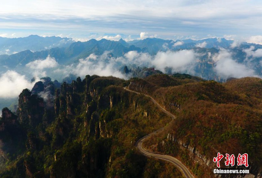 구름 뚫는 공중 케이블! 장가계 톈쯔산에 펼쳐진 환상적인 경치