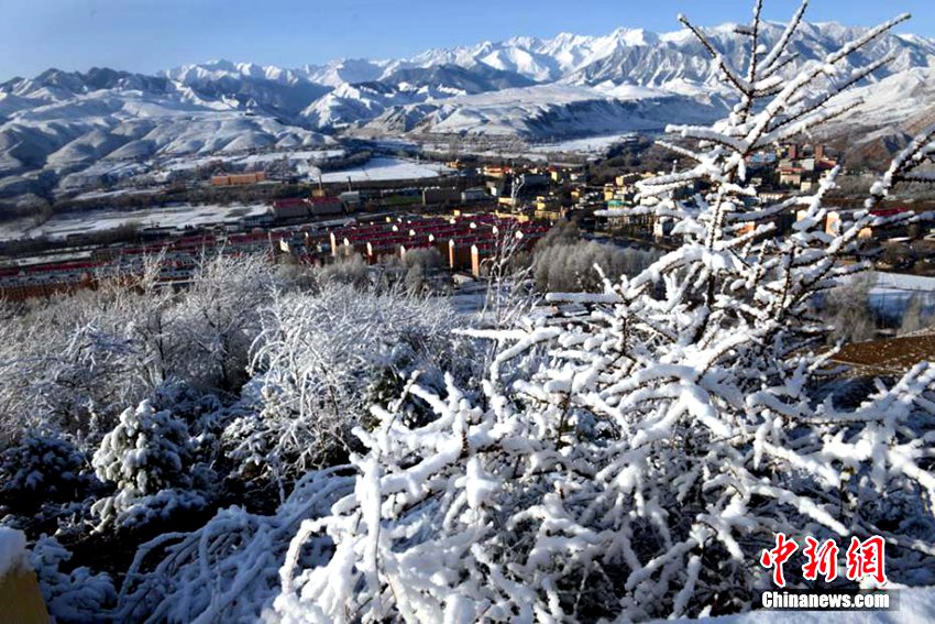 중국 간쑤의 4월 절경 감상: 봄에 펼쳐진 환상적인 상고대 현상