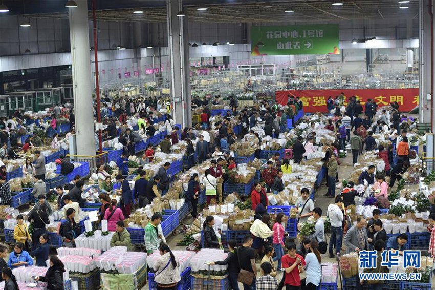 4월 16일, 윈난(雲南, 운남) 쿤밍(昆明, 곤명) 더우난(鬥南) 꽃시장에서 상인들이 장사를 하고 있다.