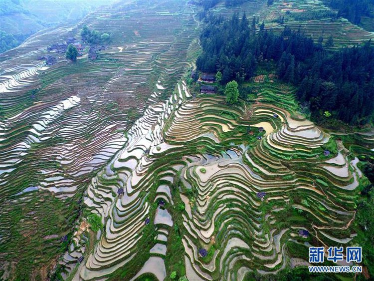 4월 봄갈이 시즌 맞은 구이저우, 웨량산 계단식 밭의 절경