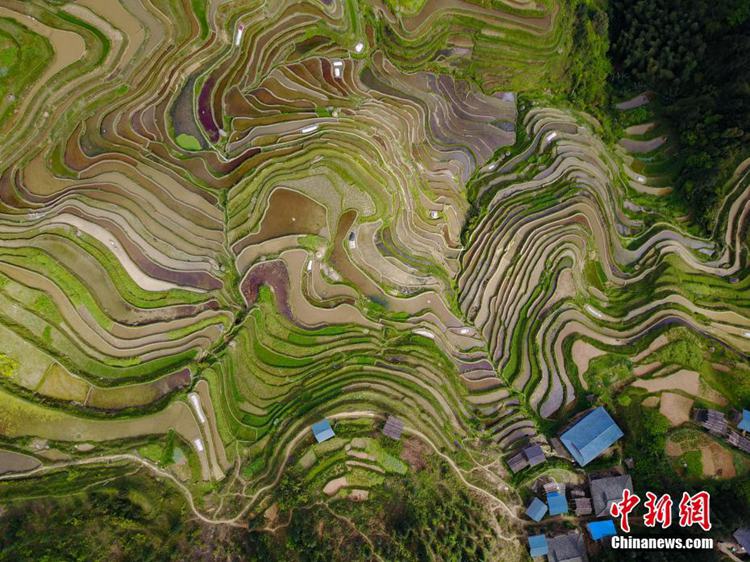 구이저우 웨량산의 다랭이논, 대지의 ‘지문’ 연상케 해