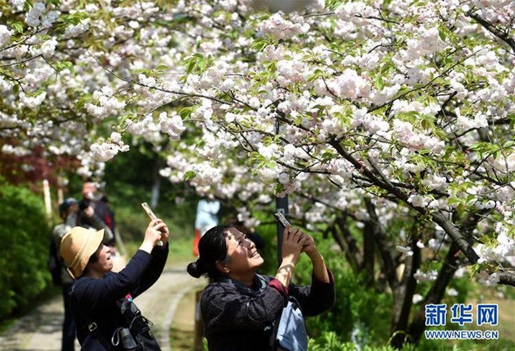 중국 항저우 시후 호의 4월 풍경, 울긋불긋 화려한 봄기운