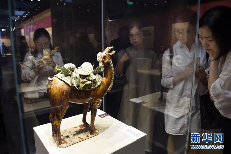 항저우 시후 박물관서 개최된 당삼채 문화재 전시회, 당나라 성세 한눈에