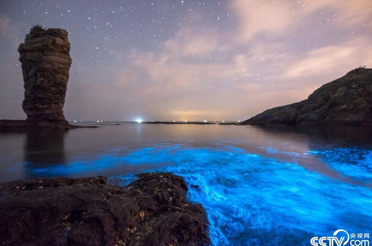 중국 다롄에 나타난 ‘형광색 바다’, 환산적인 은하 방불케 해