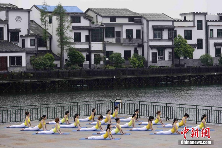 중국 창사서 펼쳐진 요가 퍼포먼스, 꽃사슴과 공작도 함께해