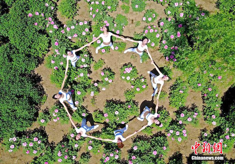 허난 모란꽃 축제 개최, 요가 미녀와 꽃의 불꽃 튀는 ‘미(美) 경쟁’