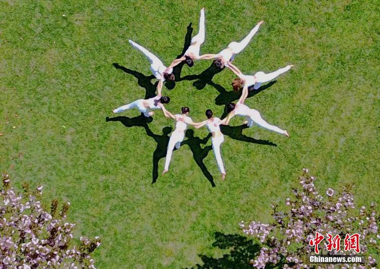 허난 모란꽃 축제 개최, 요가 미녀와 꽃의 불꽃 튀는 ‘미(美) 경쟁’