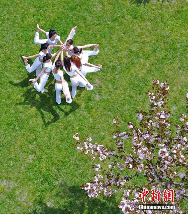 허난 모란꽃 축제 개최, 요가 미녀와 꽃의 불꽃 튀는 ‘미(美) 경쟁’