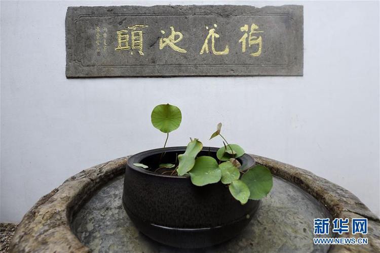 5월 7일 ‘송(宋)대 연밥’을 담은 항아리가 항저우(杭州, 항주)시 골목 연못에 설치되었다.