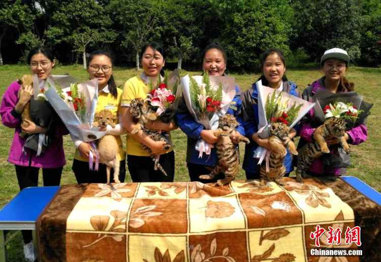 동물원 맹수 새끼들의 ‘1일 엄마’ 체험기, 중국 어머니의 날 기념행사