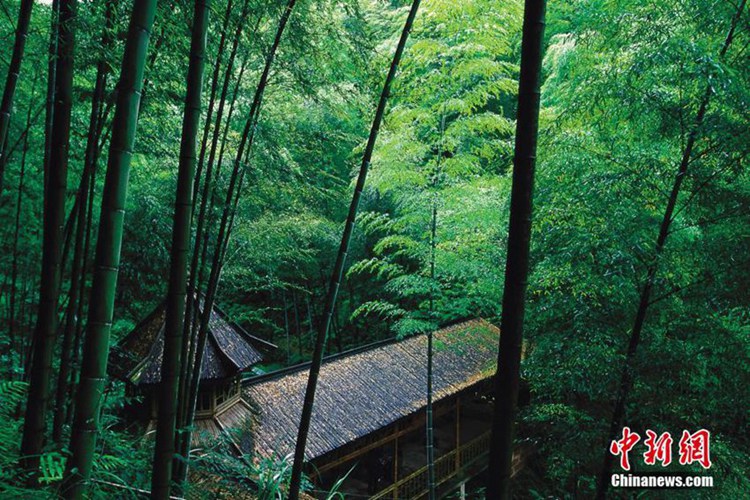 대나무 숲 아래 즐기는 피서, 구이저우 츠수이