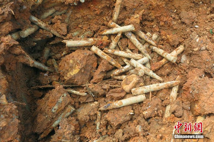 중국 후베이 이창: 채소밭에서 발견된 1천여 발의 소총탄