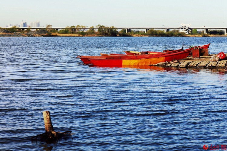초여름의 아침 햇살 아래 분주한 쑹화 강의 고기잡이 배들