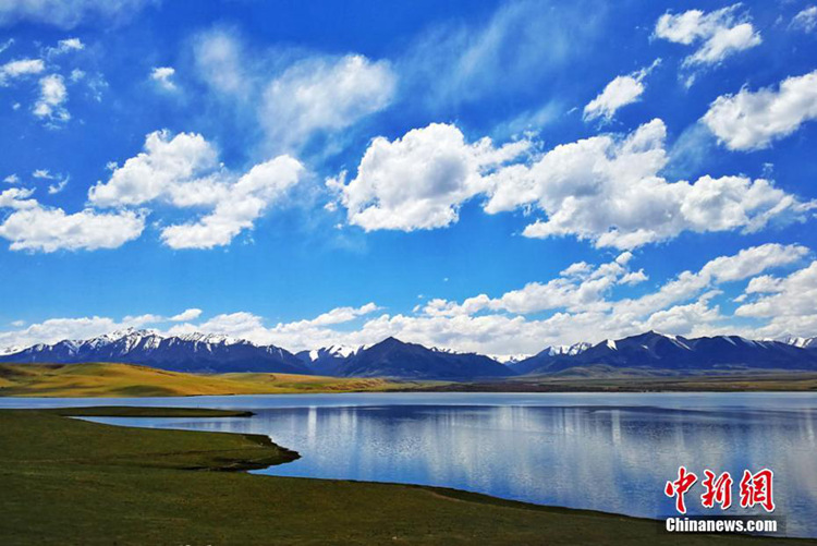간쑤 산단마장, 마치 그림 같은 초여름의 풍경 펼쳐져