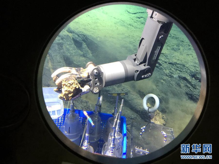 세계 최심 마리아나 해구 탐사 중인 中 유인잠수정, 30cm 보라색 해삼 발견