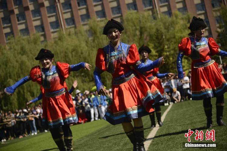 네이멍구 모 대학에서 펼쳐진 나달모 문화축제, 몽고족 전통문화 한눈에