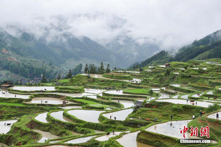 中 구이저우 ‘최후의 우경 부락’, 한 폭의 농경도 보는 듯