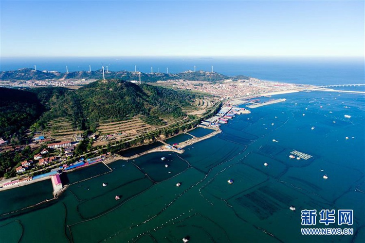 ‘해상 선산’인 산둥 창다오, 아름다운 생태관광으로 관광객 몰이